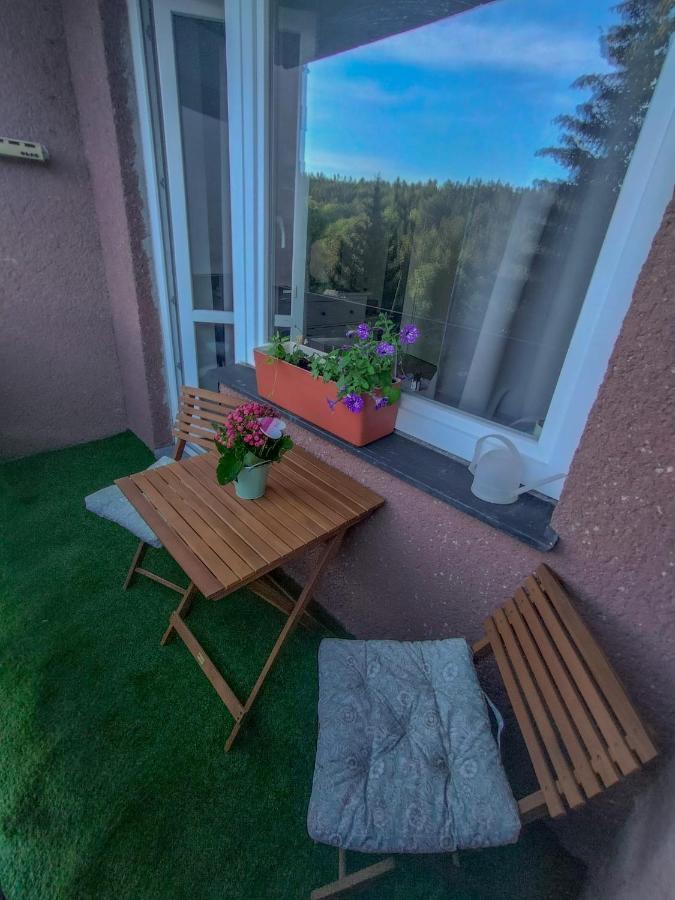 Apartmanek Protez Johannisbad Exterior foto